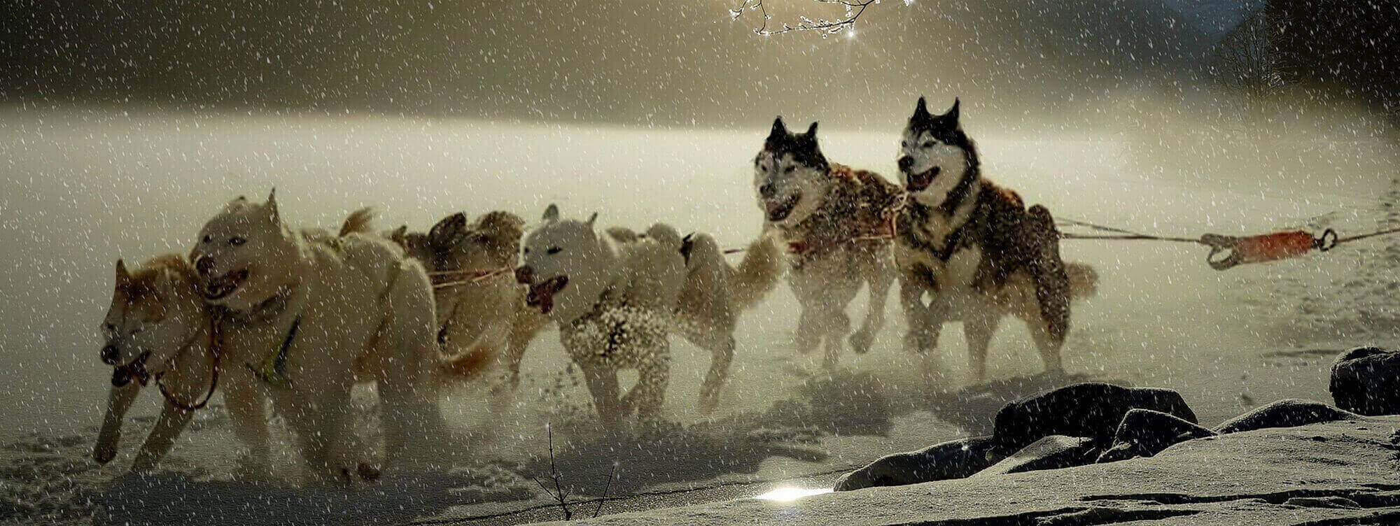 kenburns6
